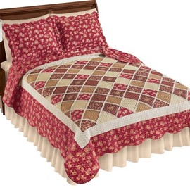 Collections Etc Marlowe Trellis Design Floral Border Reversible Quilt