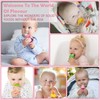 WAJIAYON Baby Fruit Feeder/Food Feeder Pacifier (3 Pack)- Infant Teething