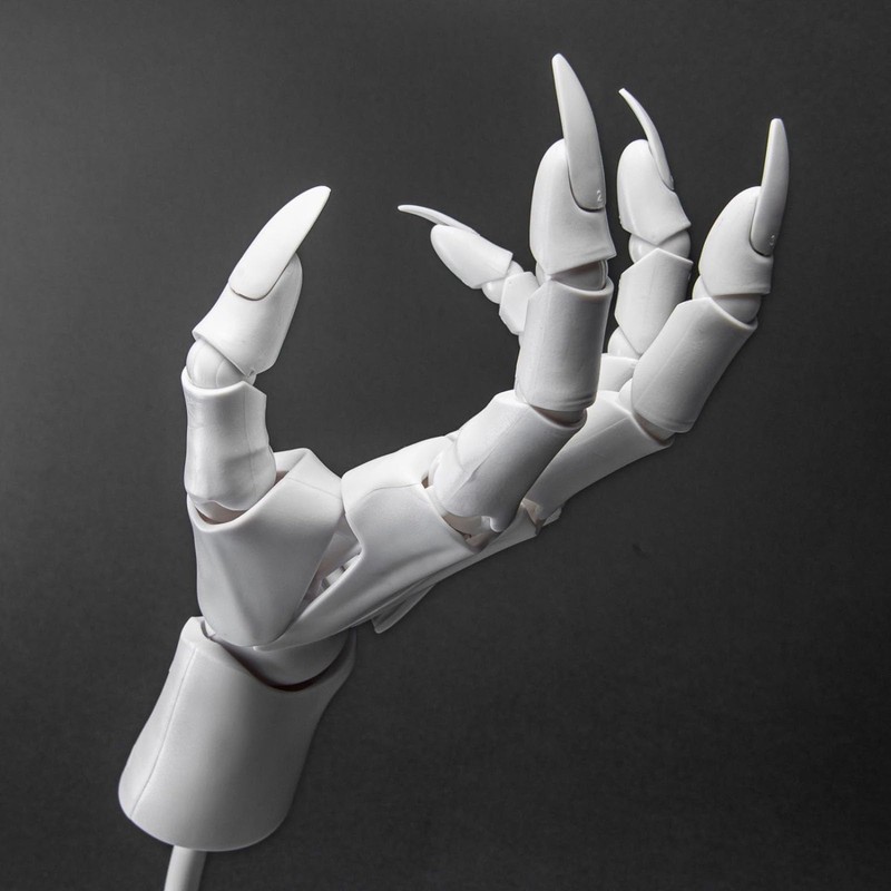 Flexible Hand Model, Moveable Artists Manikin Hand Figure for Home