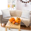 HunnmingRe 2 Pcs Fall Pumpkin Throw Pillow Covers 18x18 Inch