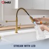 GIMILI Brushed Gold Kitchen Faucet with Pull Down Sprayer Single