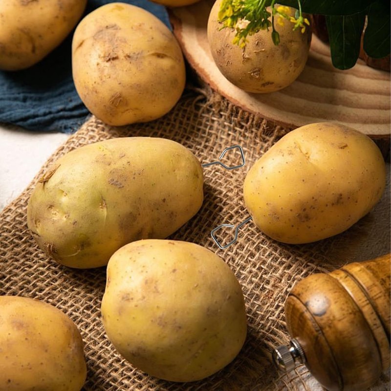 6 Pcs Potato Baking Nails, 6.7 Inch Stainless Steel &
