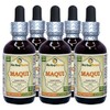 Maqui (Aristotelia Chilensis) Tincture, Organic Dried Berries Liquid Extract (Brand