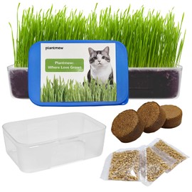 Cat Grass Seeds - Indoor Cat Grass Kit - Fast-Growing - Promotes Digestive Health, Treats Hairballs - 100% Non-GMO Heirloom Wheat Seeds - Includes Soil and BPA-Free Containers