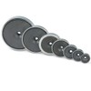 Ferrite Flat Gripper Diameter 50.0 x 10.0 mm with Countersunk,