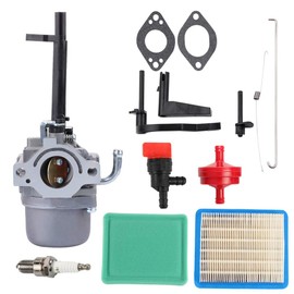 Panari 591378 697978 Carburetor for 699958 696132 699966 591378 696133 796322 697351 698455 695918 694952 695919 695330 796323 695920 695328