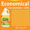 OdoBan Disinfectant Concentrate and Odor Eliminator, 1 Gallon, Citrus Scent