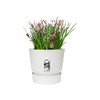 Elho Greenville Plastic Planter