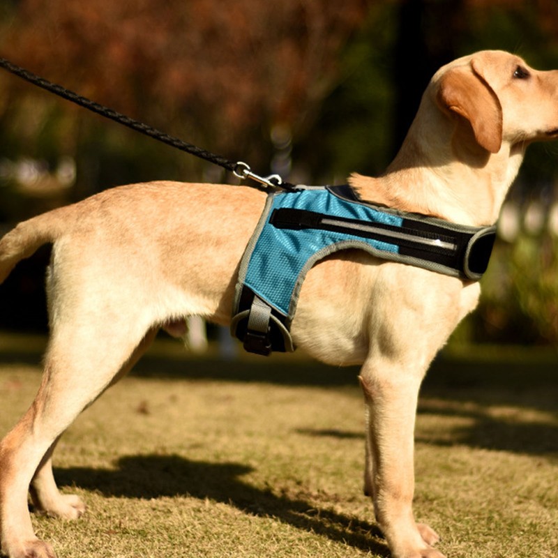 Dog Harness with LED Light Adjustable Comfortable Relieve Neck Pressure
