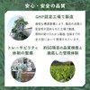 【生搾り製法の青汁 酵素が活きてとれる】クリアな青汁 青汁 国産 大分県産 大麦若葉 乳酸菌 非加熱 無添加 無農薬