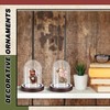 Beeveer 2 Pcs Pocket Watch Glass Display with Hooks Dome