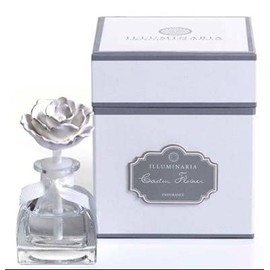 Cactus Flower ZODAX Mini Illuminaria Porcelain Diffuser