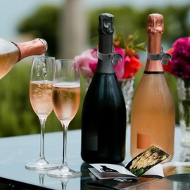 TUKNN Champagne Bottle Clips, Champagne Bottle Single Holder, Bottle Single Holder Safety Clips, Champagne Bottle Extension Clips, Champagne Bottle Sparkler Clips, Pack of 10