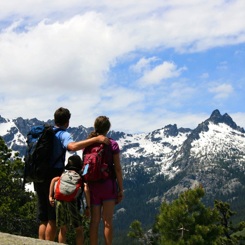 バジャー Badger クラシック リップバームスティック 4.2g ハイランドミント