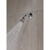 Peerless 2-Setting Shower Head in Chrome