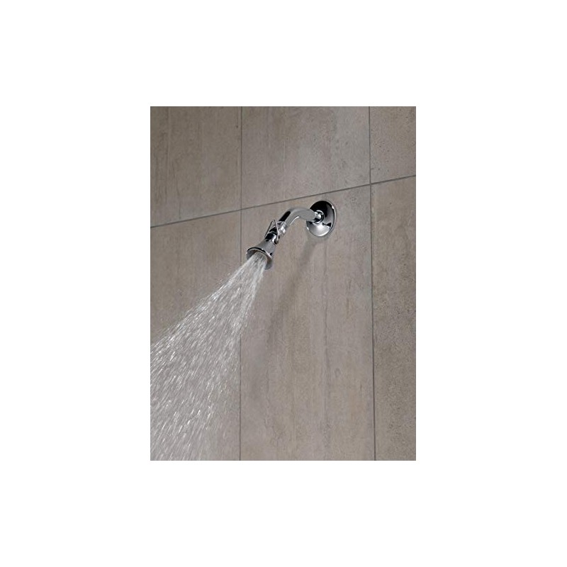 Peerless 2-Setting Shower Head in Chrome