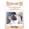  FELINE CARE TIPS: All you need to know about adopting and taking care of a healthy cat