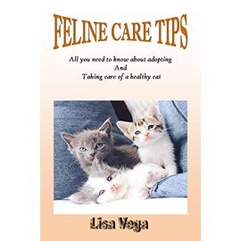  FELINE CARE TIPS: All you need to know about adopting and taking care of a healthy cat
