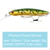 SEABUZZ Power Minnow Wobbler for Pike & Zander & Barsh