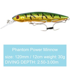 SEABUZZ Power Minnow Wobbler for Pike & Zander & Barsh 30 g 12 cm Flat Runner 2.5-3 m - 2 Treble Hooks Fishing Lures - Predatory Fish Fishing Bait - Artificial Bait - Pike Bait - Fishing Lures -