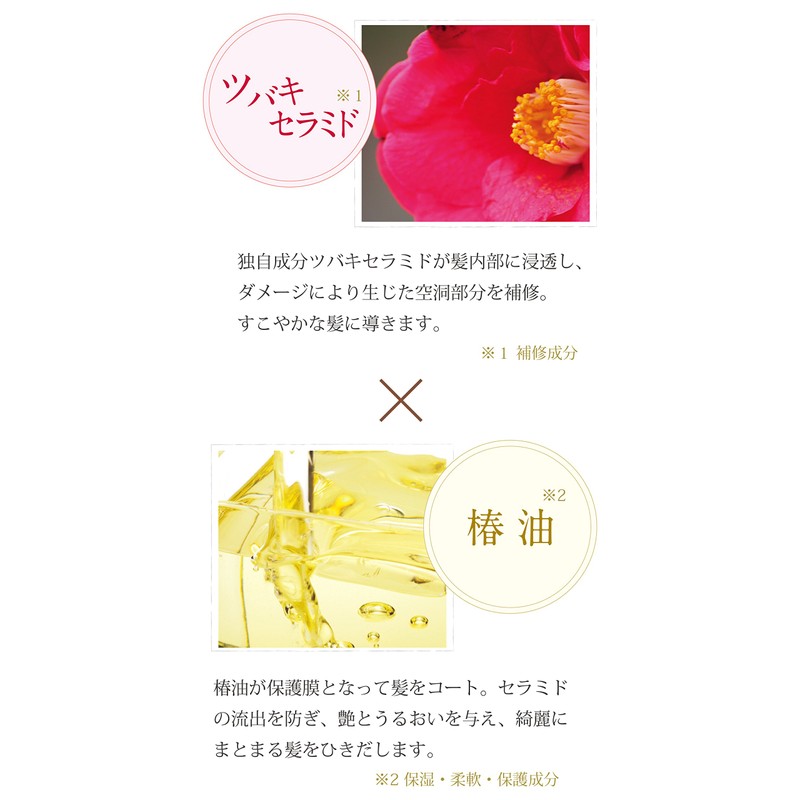 Oshima Tsubaki Hair Cream - Moist - 160g