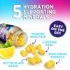 Hydration Electrolyte Gummies - Daily Liquid Replenisher Gummy - Electrolyte
