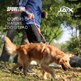 Jax Planet Dog Harness and Leash - Comfortable Leash and Harness for Small, Medium, Large Dogs - Perfect for Training, Includes D-Ring Harness & Leash Set