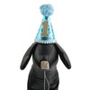 PET SHOW 1pc/Pack Blue Small Dog Birthday Party Hat for