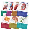 Quarterhouse Human Body Organs and Functions Poster Set, Science Classroom