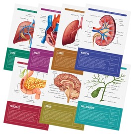 Quarterhouse Human Body Organs and Functions Poster Set, Science Classroom Learning Materials for K-12 Students and Teachers, Set of 7, 12x18, Extra Durable