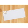 Funny Frogs Address Labels