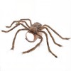 bogbago Disfraz de araña para Perro, Divertido Disfraz para Perro