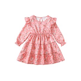 Toddler Girl Clothes Fall Winter Dresses Cute Pink Long Sleeve Little Girls Dress Ruffle Crewneck Casual Floral Boho Outfits 3T 4T Girl Clothes
