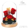 TEATSIGHT Preserved Flower Arrangement, Wrapped Glass Pot, 5 Wheels (Rose,