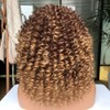 Short Curly Afro Wigs for Black Women Curly Wig with