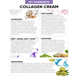 Perfect Look London Collagen Specialist, Night Face Cream with Collagen Marine, Peptide, Retinol, Hyaluronic Acid and Vitamin B5, Firm and Tone, Anti Wrinkle Cream 50ml