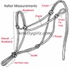Horse Rope Training Halter - 4 Knot from 1/4" Stiff