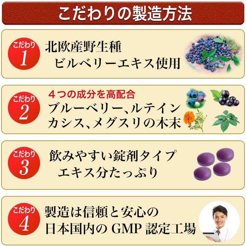 大日ヘルシーフーズ ブルーベリー ルテイン 60粒入（錠剤タイプ）×1袋 カシス メグスリの木末配合 サプリ