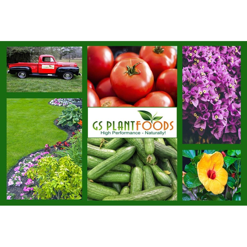 Turbo Soil Bio-Blend, Superior Organic Soil Amendment