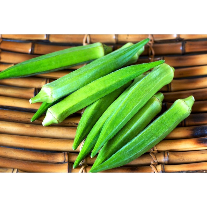 Green Okra 20+ Non-GMO Seeds for Planting