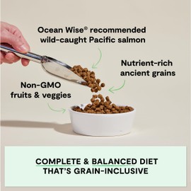 Open Farm, Ancient Grains Dry Dog Food, Protein-Rich & Nutrient Dense, 90% Animal Protein Mixed with Non-GMO Fruits, Veggies and Superfoods, Wild Caught Salmon Recipe, 4lb Bag