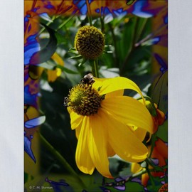 CafePress Bee And Flower 13"x13" Reusable Grocery Shopping Sling Tote Bag