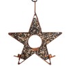 Good Directions Star Feeder with Plexiglass