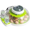 Professional Egg Incubator - Automatic Turning, Precise Temperature & Humidity