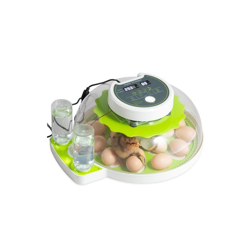 Professional Egg Incubator - Automatic Turning, Precise Temperature & Humidity