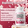 Probióticos Microbiota Digestiva Y Salud Digestiva 60 Cáps