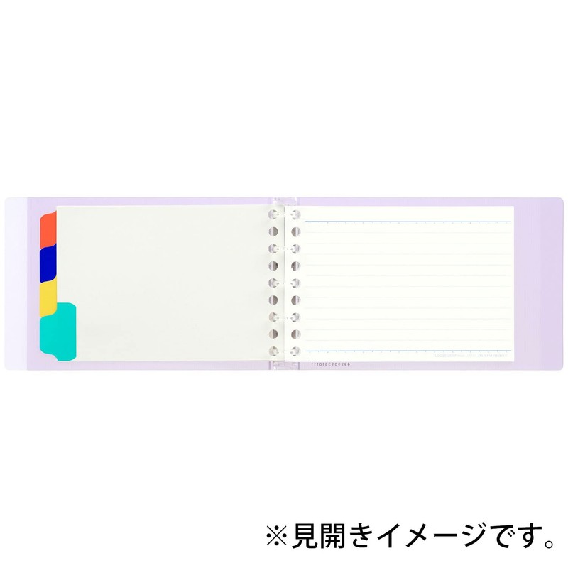 Maruman FM310-98 Loose-Leaf Binder, Session, Mini-Size, 5 Holes, Clear