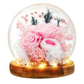 INYPTROPIC Preserved Flowers Birthday Gifts for Women Forever Rose Gifts for Mom Grandma Wife Valentines Mothers Day Christmas Anniversary Eternal Light Up Pink Roses in Glass Dome