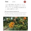 Flavor Life `ala Lehua Hair & Body Wash Nest 10.1