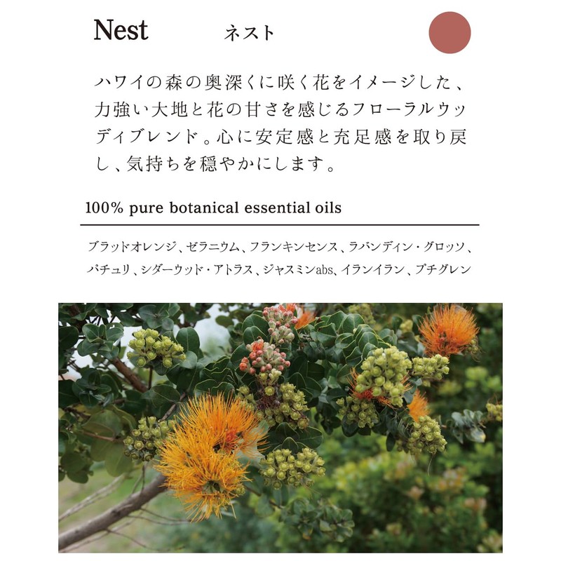Flavor Life `ala Lehua Hair & Body Wash Nest 10.1